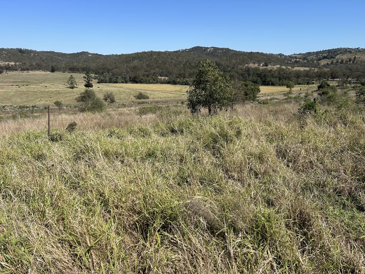 Click to view all images 143 Schreyers Road Nutgrove QLD 4352 - Image 3