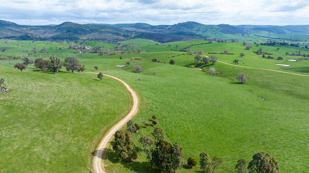 Homestead 242 Back Nacki Creek Road Sharps Creek NSW 2729 - Image 1