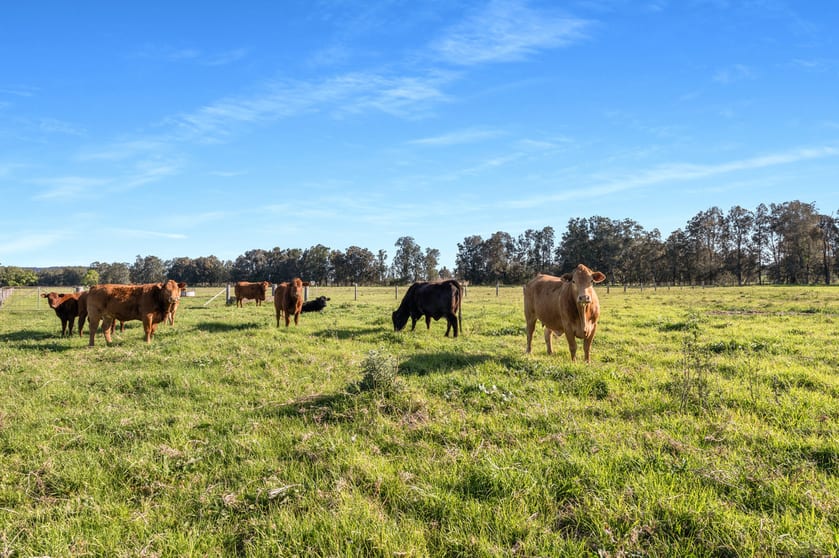 Click to view all images 591 Coolangatta Road Berry NSW 2535 - Image 2