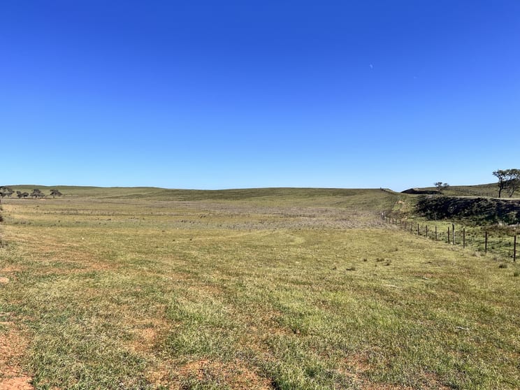 Click to view all images "Strathayr" 846 Cleary Road Sunnybrae SA 5422 - Image 3
