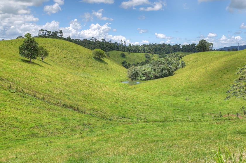 1288 Beatrice Way Millaa Millaa QLD 4886 - Image 3