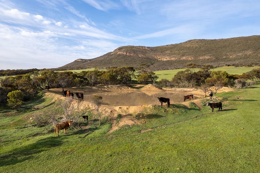 Click to view all images Allot 2 Gap Road Edillilie SA 5630 - Image 2