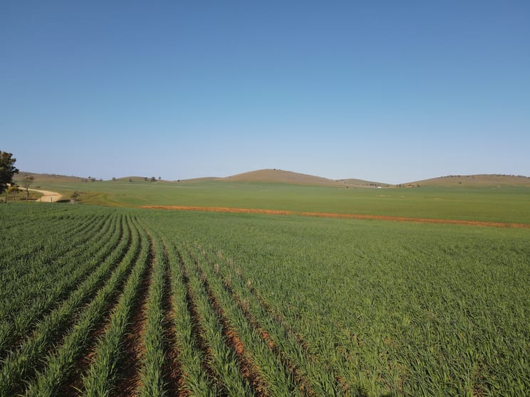 274E Melrose Road Pekina SA 5431 - Image 2