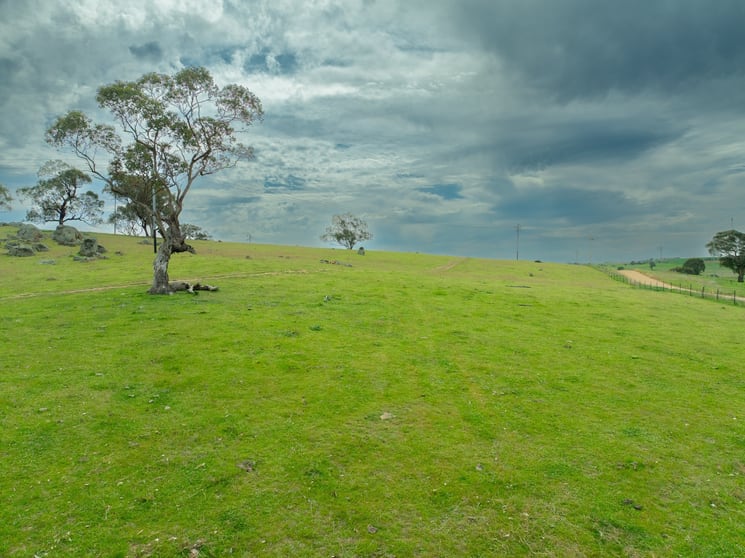Cemetery Road Murrumburrah NSW 2587 - Image 2