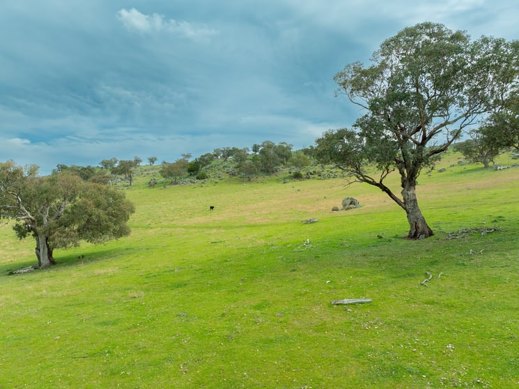Cemetery Road Murrumburrah NSW 2587 - Image 3