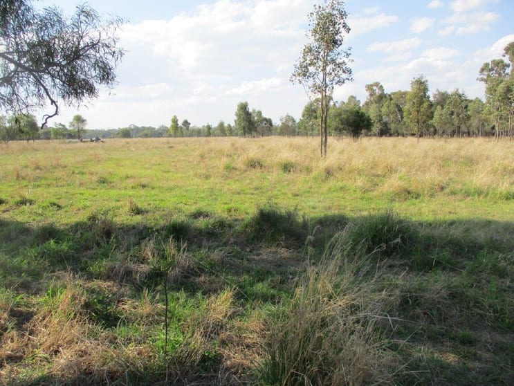 Click to view all images 160 ACRES Jandowae QLD 4410 - Image 1