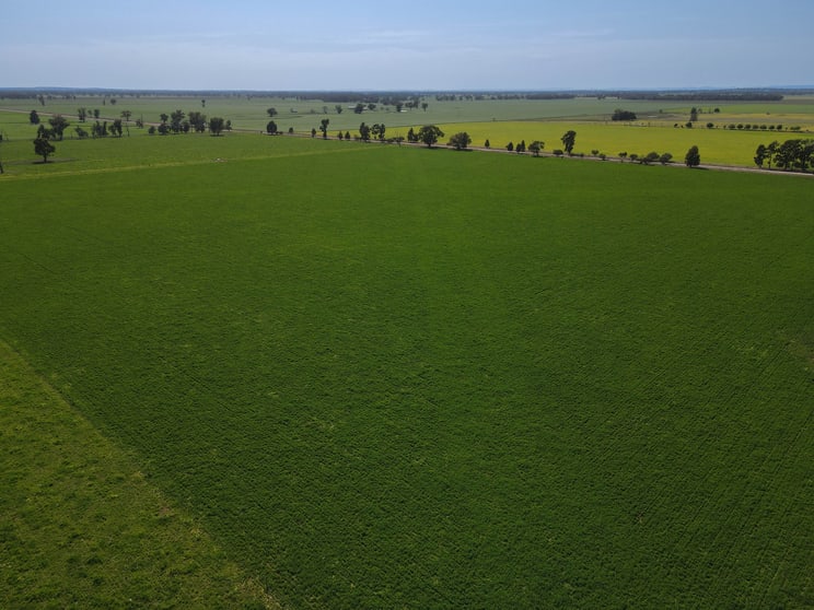 140 Amors Lane Forbes NSW 2871 - Image 1