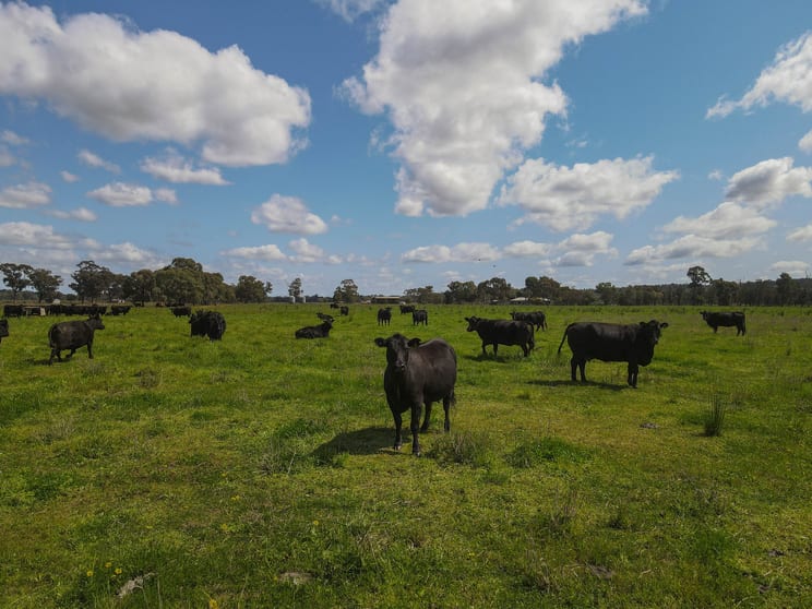 140 Amors Lane Forbes NSW 2871 - Image 2