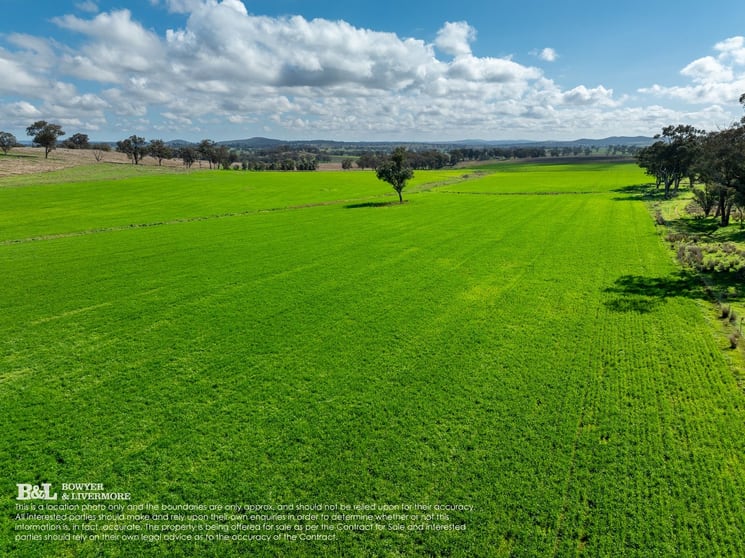 Click to view all images "Bellmain" Renshaw McGirr Way Yeoval NSW 2868 - Image 2