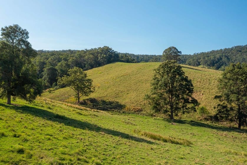 353 Rhones Creek Road Talarm NSW 2447 - Image 3