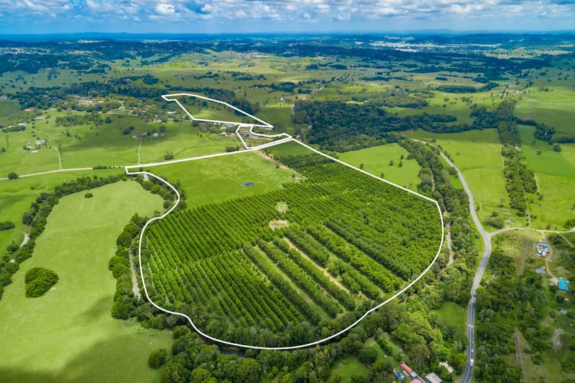 Click to view all images 18 Richmond Hill Road Richmond Hill NSW 2480 - Image 2