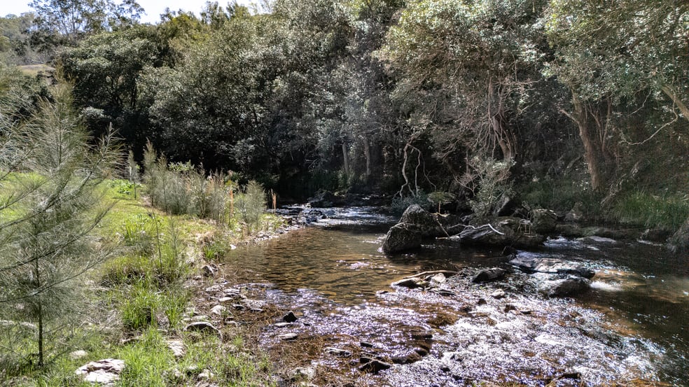 Click to view all images 2469 Cells Road Cells River NSW 2424 - Image 3