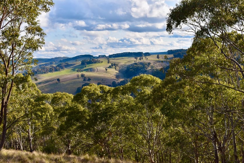 Lot/129 Sheepstation Forest Road Gingkin NSW 2787 - Image 3