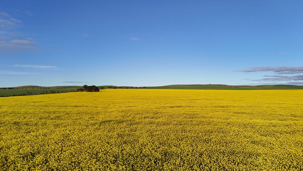 Click to view all images 222 Nicholls Rd Booleroo Centre SA 5482 - Image 1
