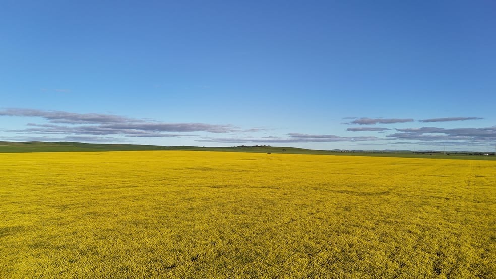 Click to view all images 222 Nicholls Rd Booleroo Centre SA 5482 - Image 2