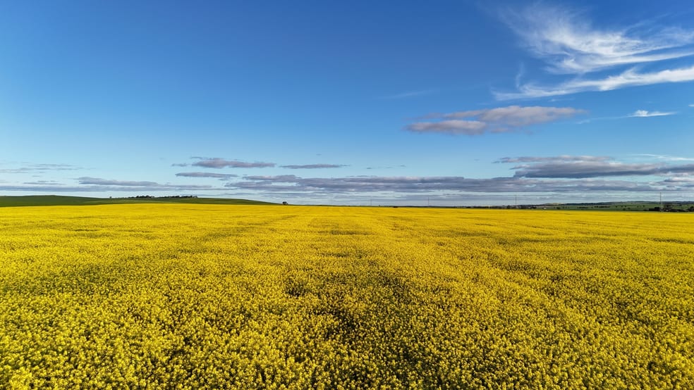 Click to view all images 222 Nicholls Rd Booleroo Centre SA 5482 - Image 3