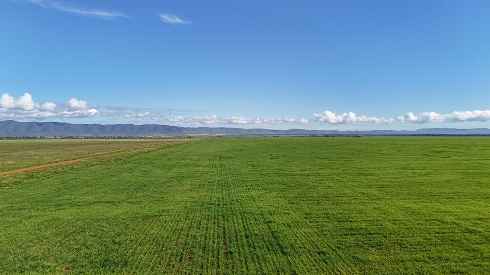 'Daly's' Collins Road Willowie SA 5431 - Image 3