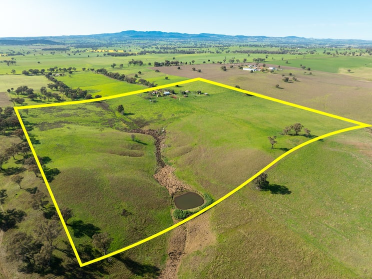 Click to view all images 61 Attenborough Lane Manildra NSW 2865 - Image 1