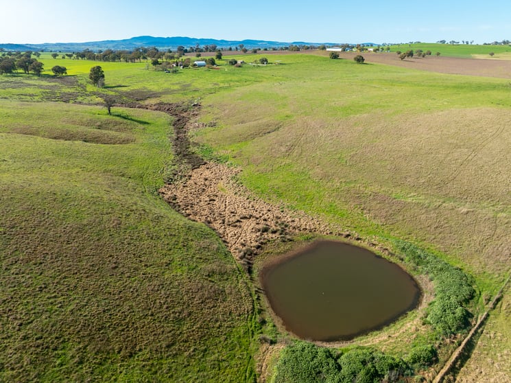 Click to view all images 61 Attenborough Lane Manildra NSW 2865 - Image 3