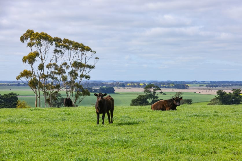 Click to view all images 521 Mill Road Strathkellar VIC 3301 - Image 3