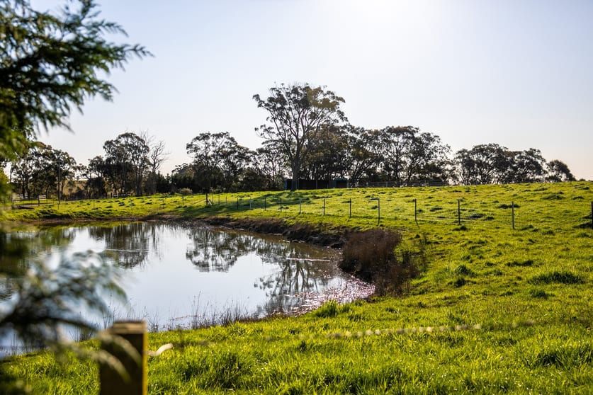 Click to view all images 21 Harrison Lane High Range NSW 2575 - Image 2