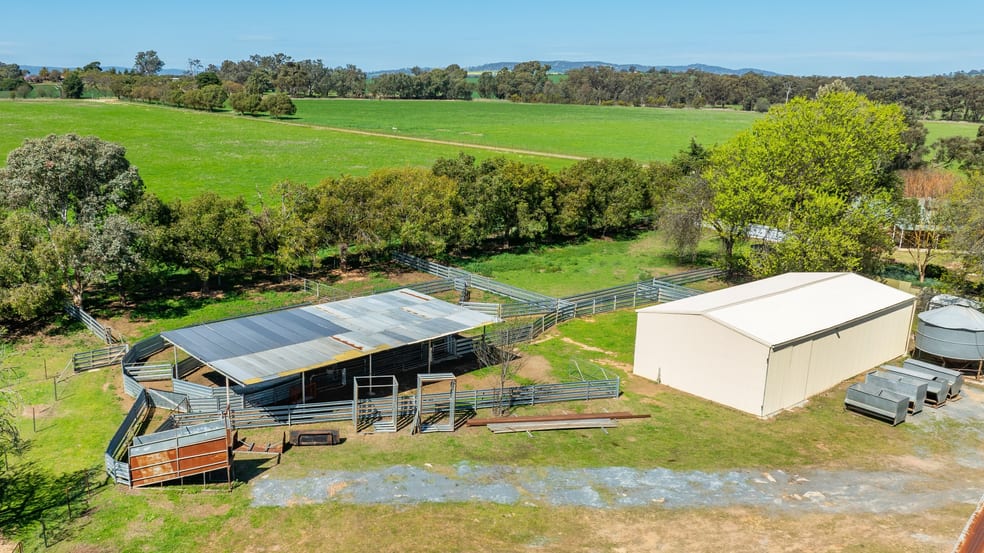 Click to view all images 'Sunrise'/166 Wenkes Rd Walla Walla NSW 2659 - Image 3