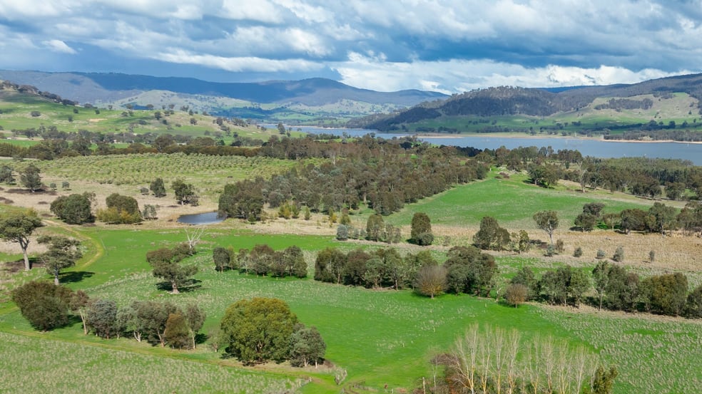 'Dalkeith'/2159 Wymah Rd Wymah NSW 2640 - Image 2