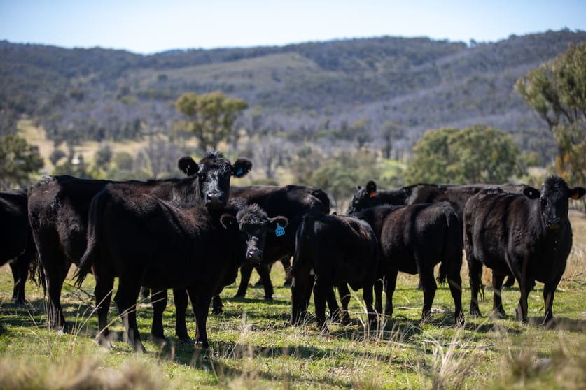 Click to view all images 11853 New England Highway Armidale NSW 2350 - Image 2