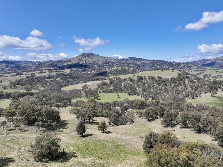 Click to view all images "The Basins Nth" Chilcotts Creek Road Willow Tree NSW 2339 - Image 3