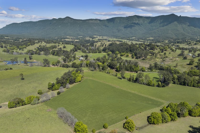 703 Brays Creek Road Brays Creek NSW 2484 - Image 3