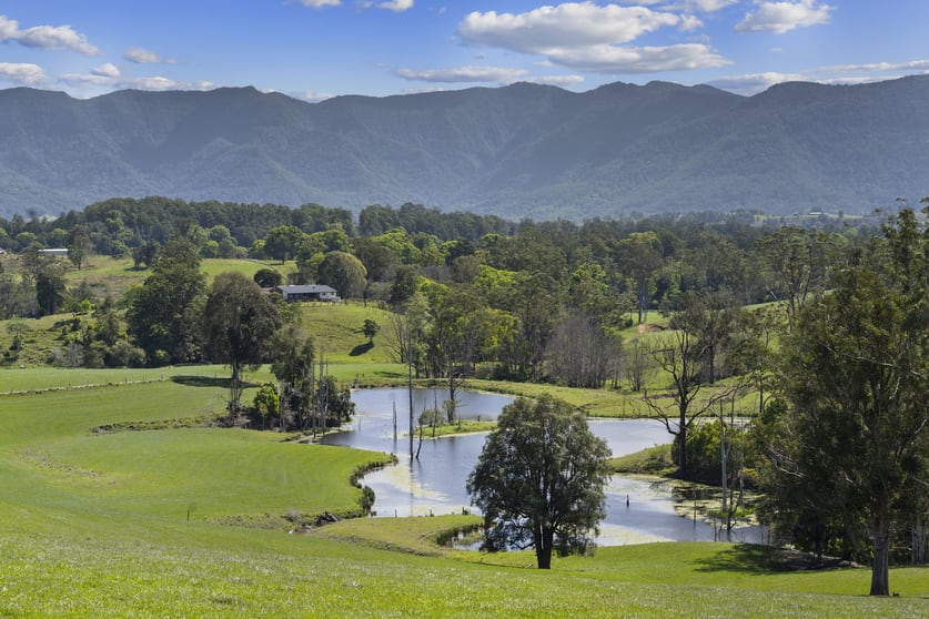 703 Brays Creek Road Brays Creek NSW 2484 - Image 2