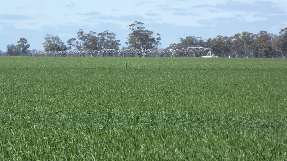 Click to view all images 139 Packer Road Bordertown South SA 5268 - Image 3