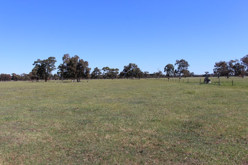 Click to view all images Allotment 33 Emu Springs Road Tintinara SA 5266 - Image 3