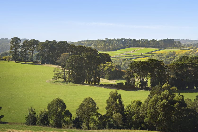 Click to view all images 350 Barkers Road Main Ridge VIC 3928 - Image 3