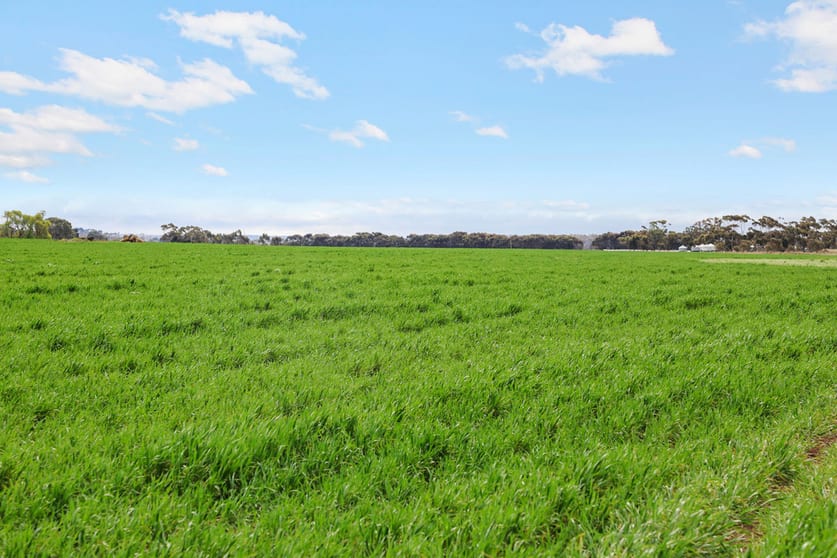 Click to view all images 1047 Rokewood-Shelford Road Shelford VIC 3329 - Image 2