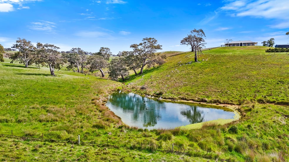 55E Stirling Hill Road Gemmells SA 5255 - Image 3