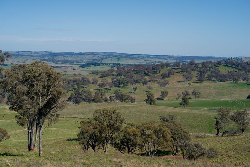 Click to view all images "Hillview" Rockley Road Rockley NSW 2795 - Image 2