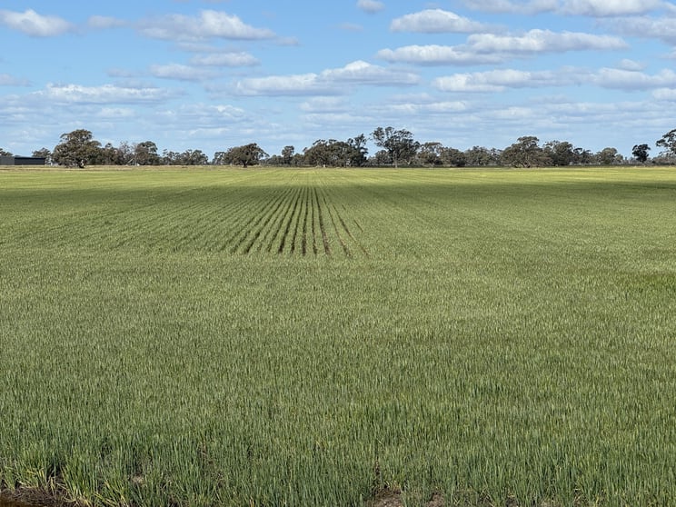 2584 Moulamein Road Barham NSW 2732 - Image 1
