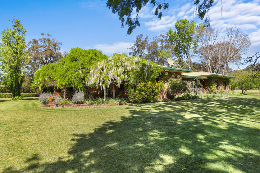 996 Gundy Road Scone NSW 2337 - Image 2