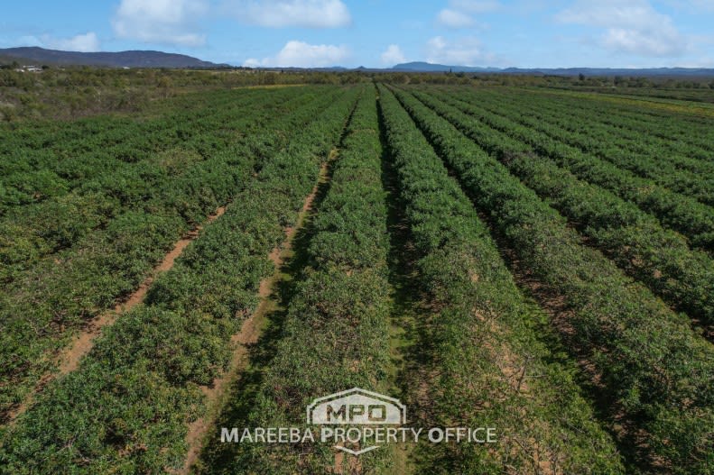 44 Carman Road, Paddy's Green Mareeba QLD 4880 - Image 2