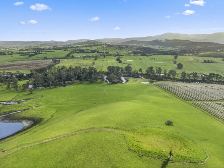 Click to view all images 737 Maroondah Highway Coldstream VIC 3770 - Image 3