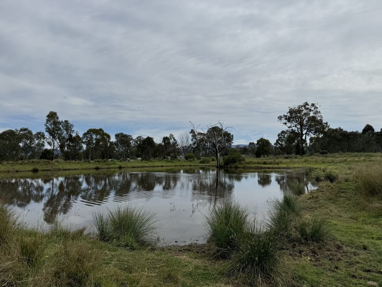Click to view all images L908, L910, L1 Mareeba Road Parkville NSW 2337 - Image 2