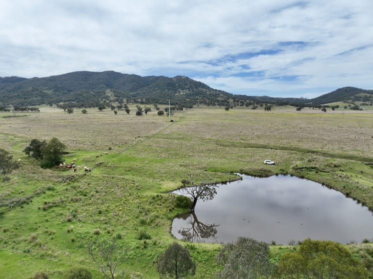 Click to view all images L908, L910, L1 Mareeba Road Parkville NSW 2337 - Image 3