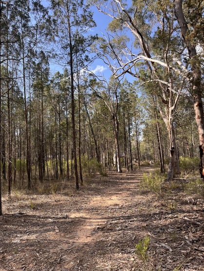 Click to view all images Lot 1 Stonehenge Road Leyburn QLD 4365 - Image 2