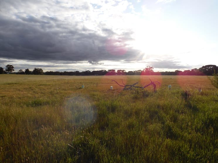 Click to view all images Lot 417 Great Southern Highway Broomehill Village WA 6318 - Image 1