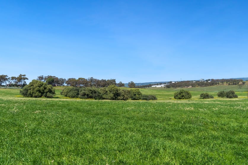 Lot 14/369 Seaview Road Mclaren Vale SA 5171 - Image 3