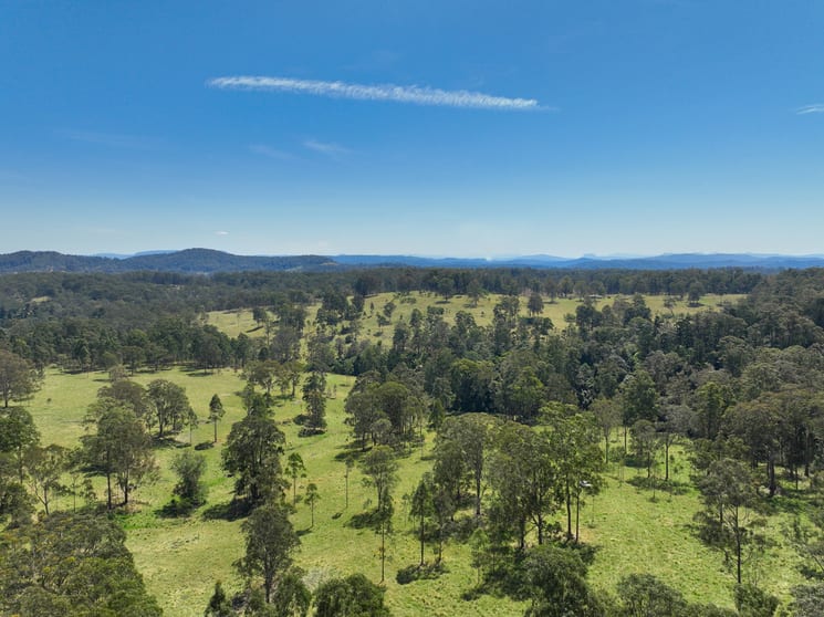 Click to view all images Western Boundary Road Cambridge Plateau NSW 2469 - Image 2