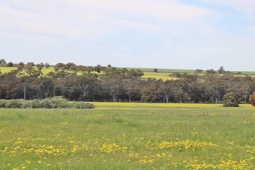 Lot 14 Kulin/Dudinin Road Dudinin WA 6363 - Image 2