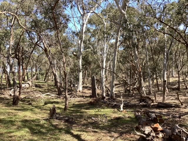 Click to view all images Lot 70C & McMillan Lane Beaufort VIC 3373 - Image 1