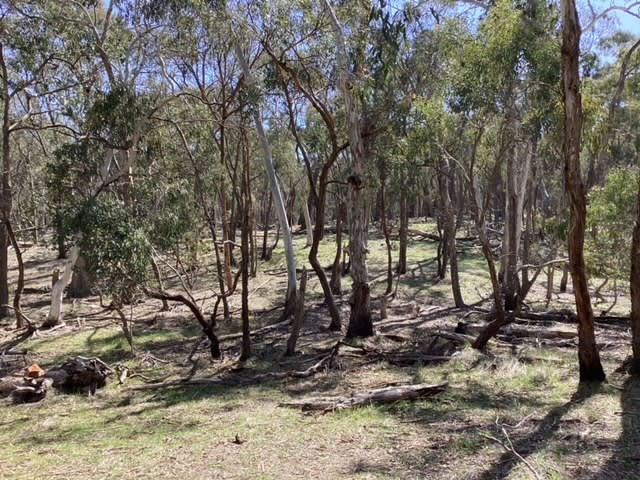 Click to view all images Lot 70C & McMillan Lane Beaufort VIC 3373 - Image 2